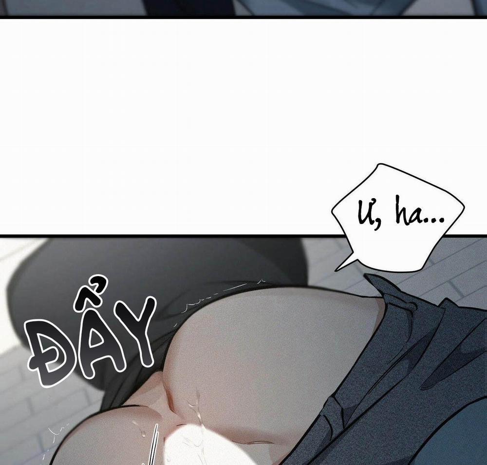 GIÁNG SINH – MERRY ON THE ROCK 4 trang 4