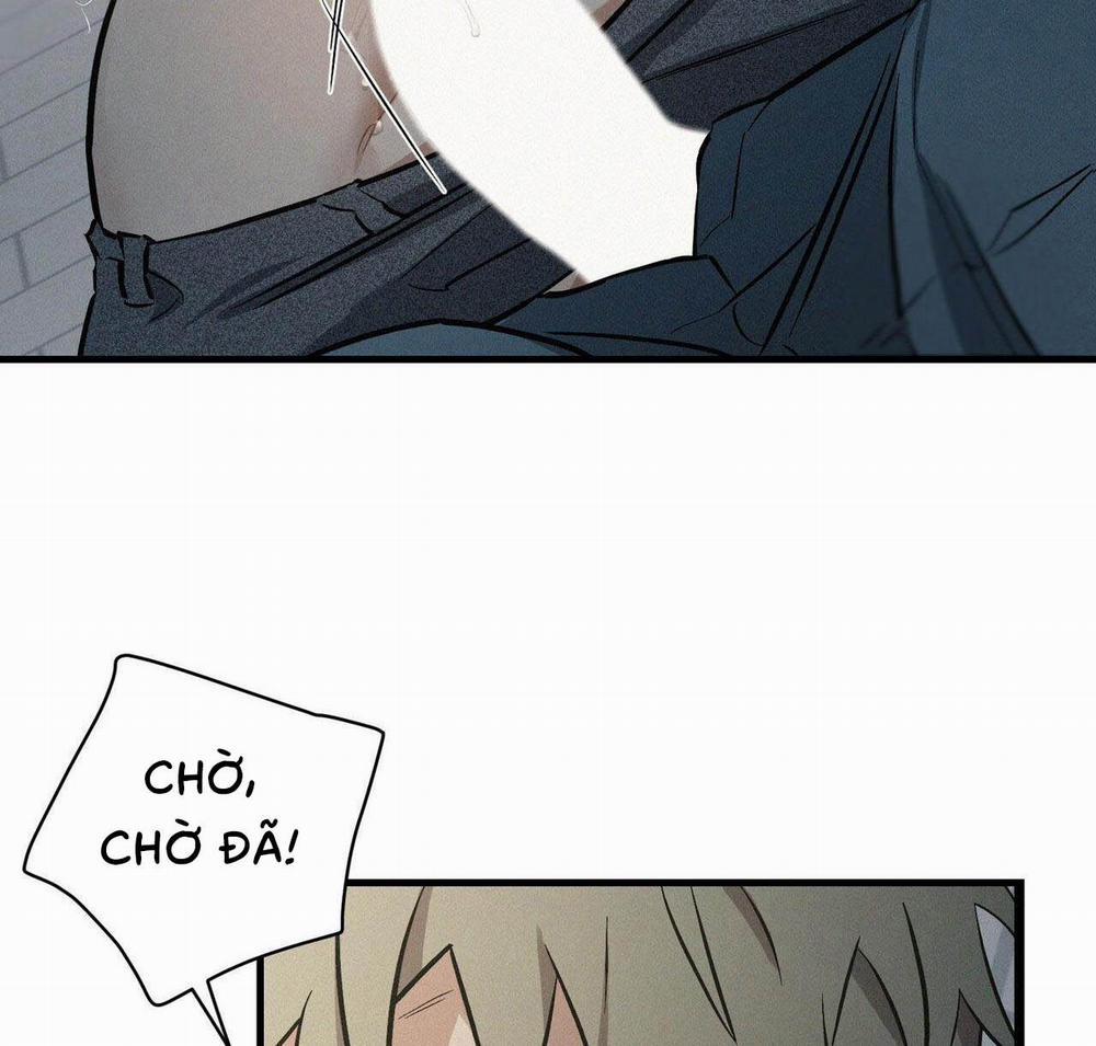 GIÁNG SINH – MERRY ON THE ROCK 4 trang 5