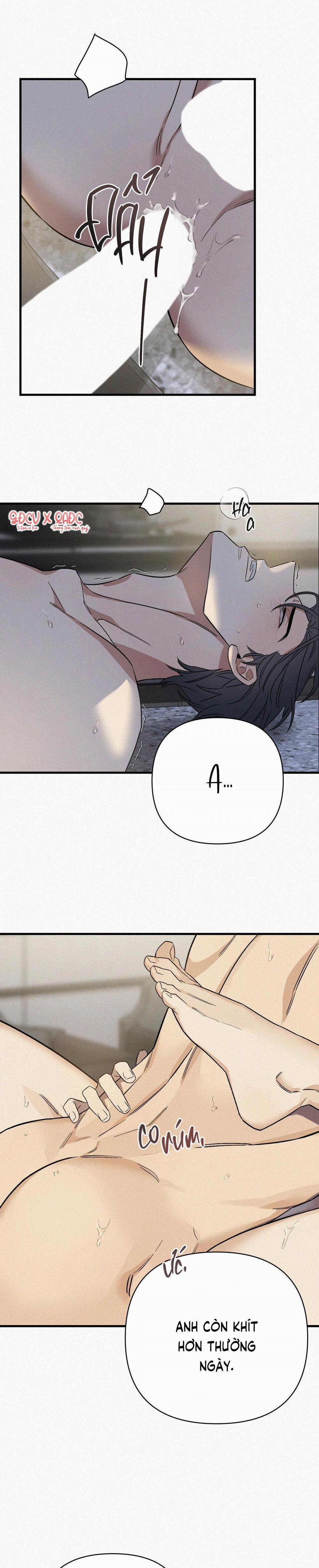 GIÁNG SINH – MERRY ON THE ROCK 6 trang 20