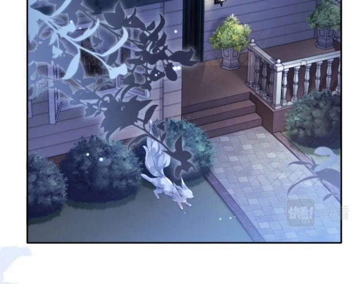 Giáo Bá Cửu Vĩ Hồ Theo Dõi Ta Lúc Sau 12 trang 8