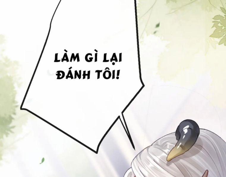 Giáo Bá Cửu Vĩ Hồ Theo Dõi Ta Lúc Sau 6 trang 38