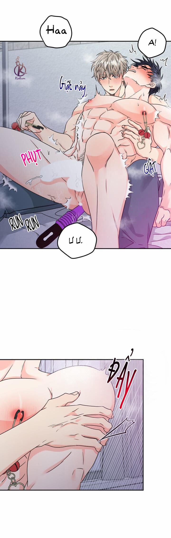 Giao Hàng Thành Công 11.5 trang 0