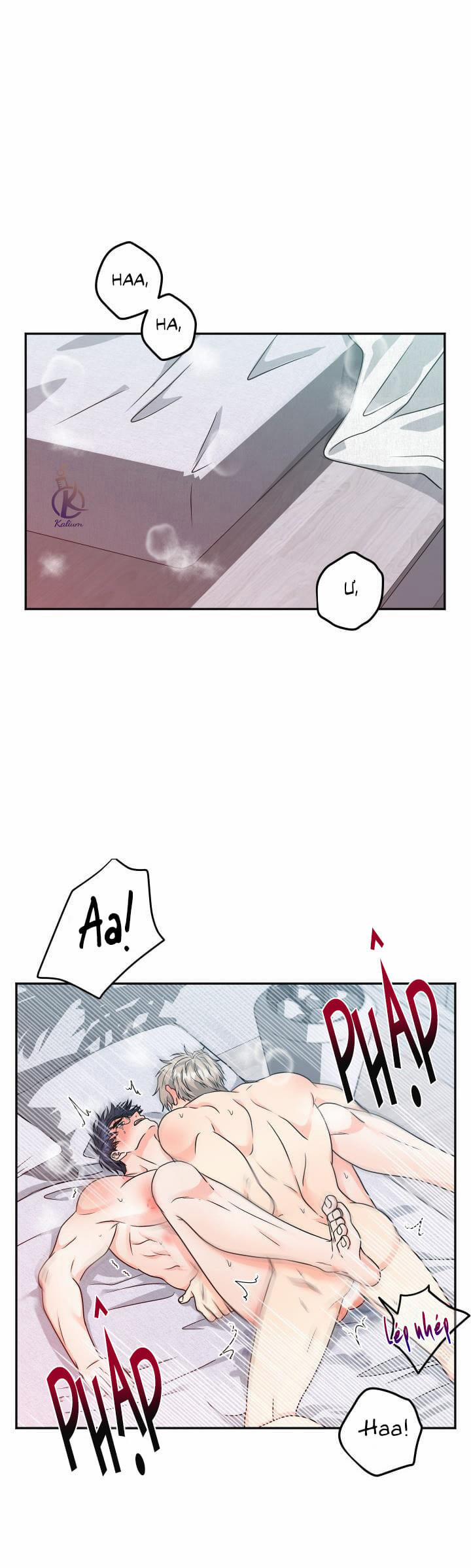 Giao Hàng Thành Công 13 trang 0