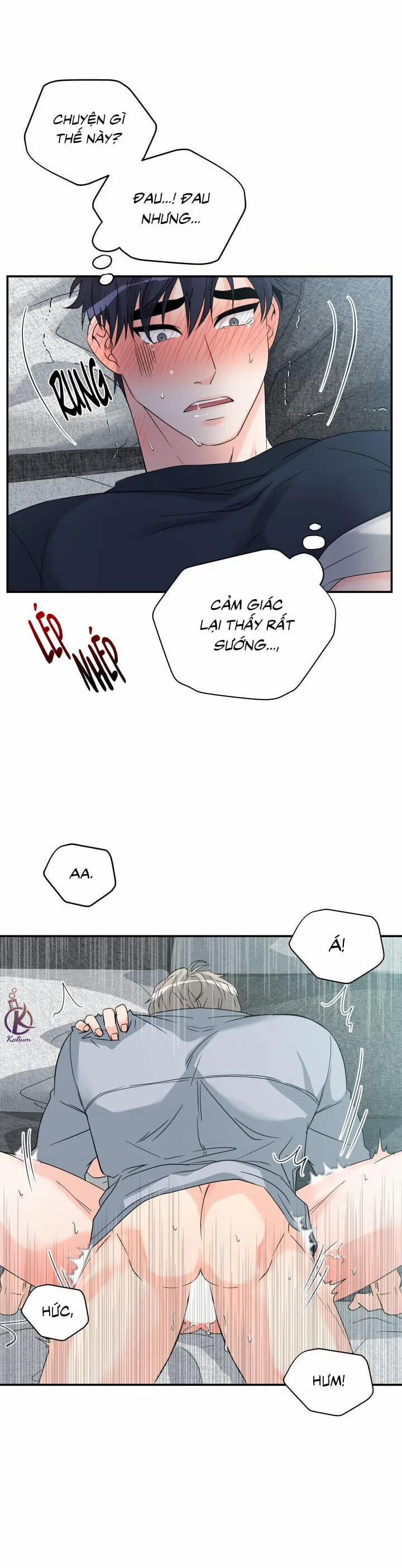 Giao Hàng Thành Công 4 trang 16