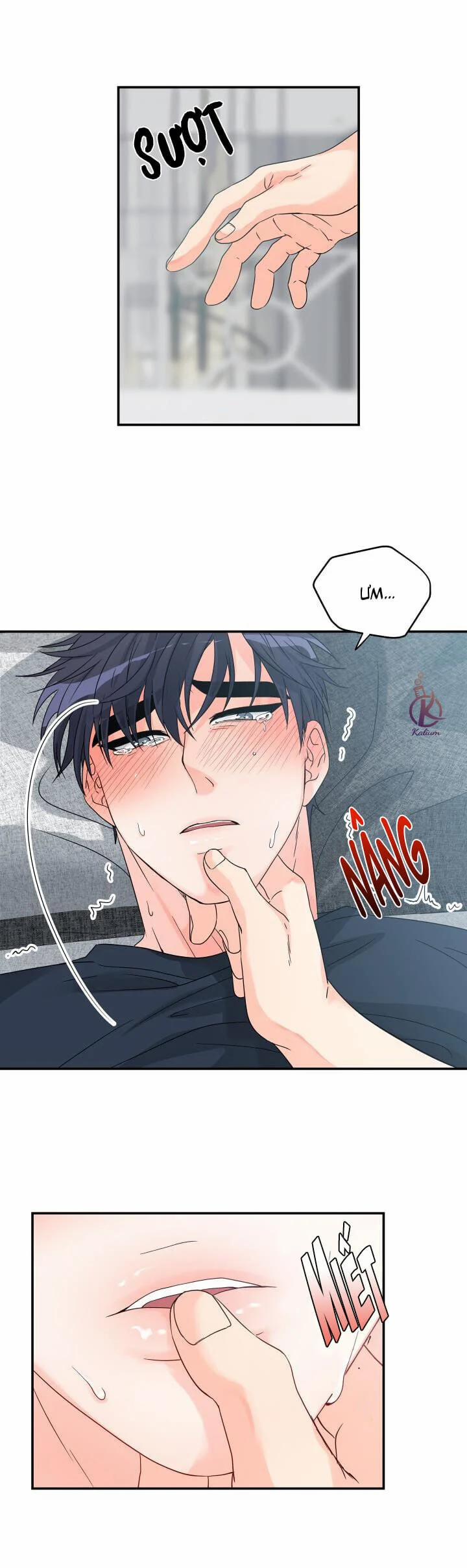 Giao Hàng Thành Công 4 trang 19