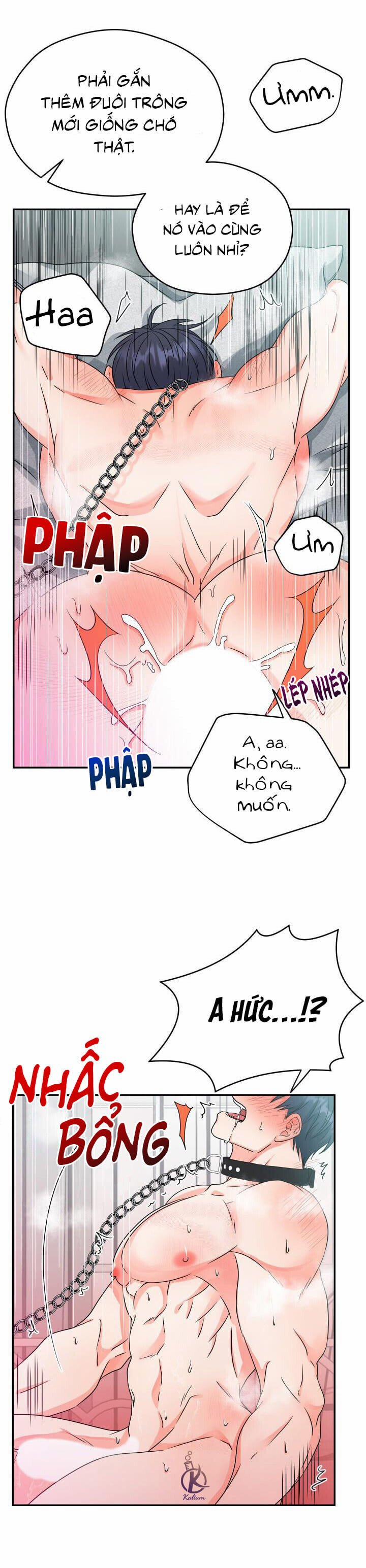 Giao Hàng Thành Công 6 trang 21