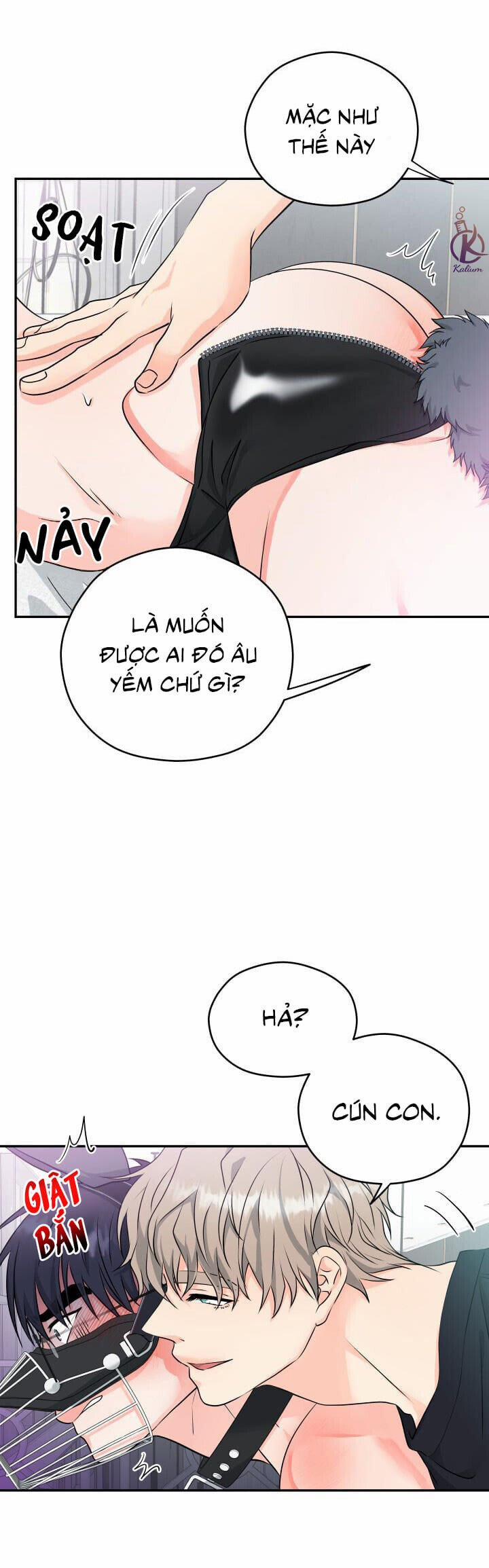 Giao Hàng Thành Công 6 trang 8