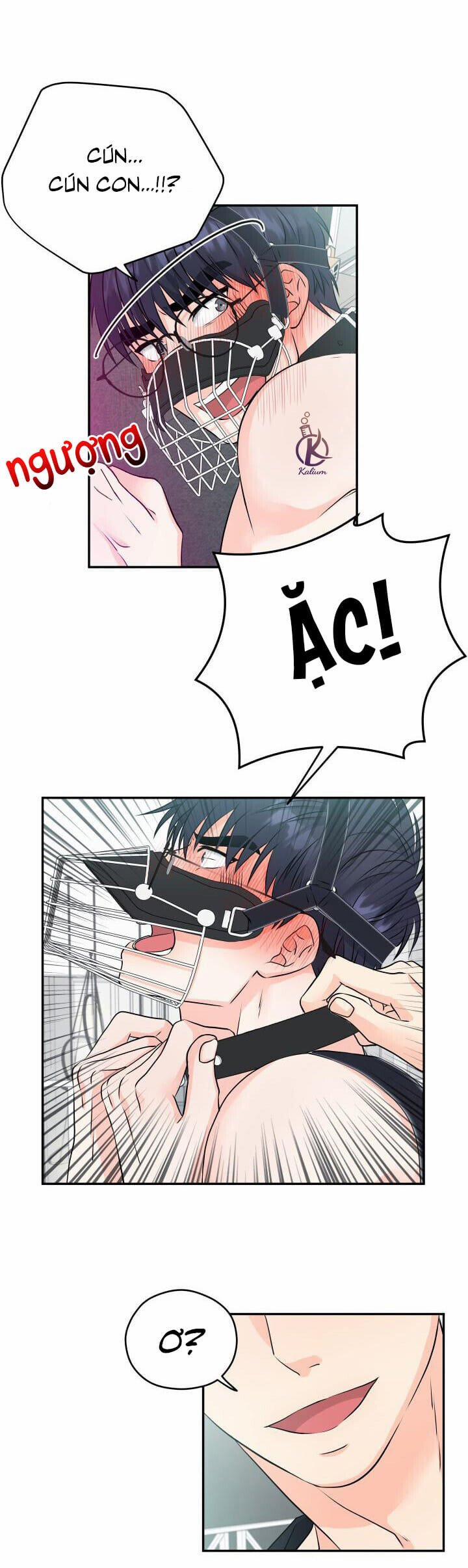 Giao Hàng Thành Công 6 trang 9