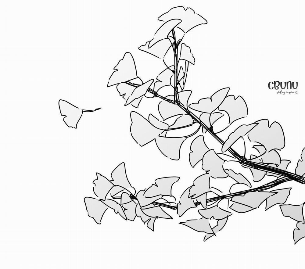 Giấu cho kỹ; lộ XX bây giờ 5 H+ trang 2