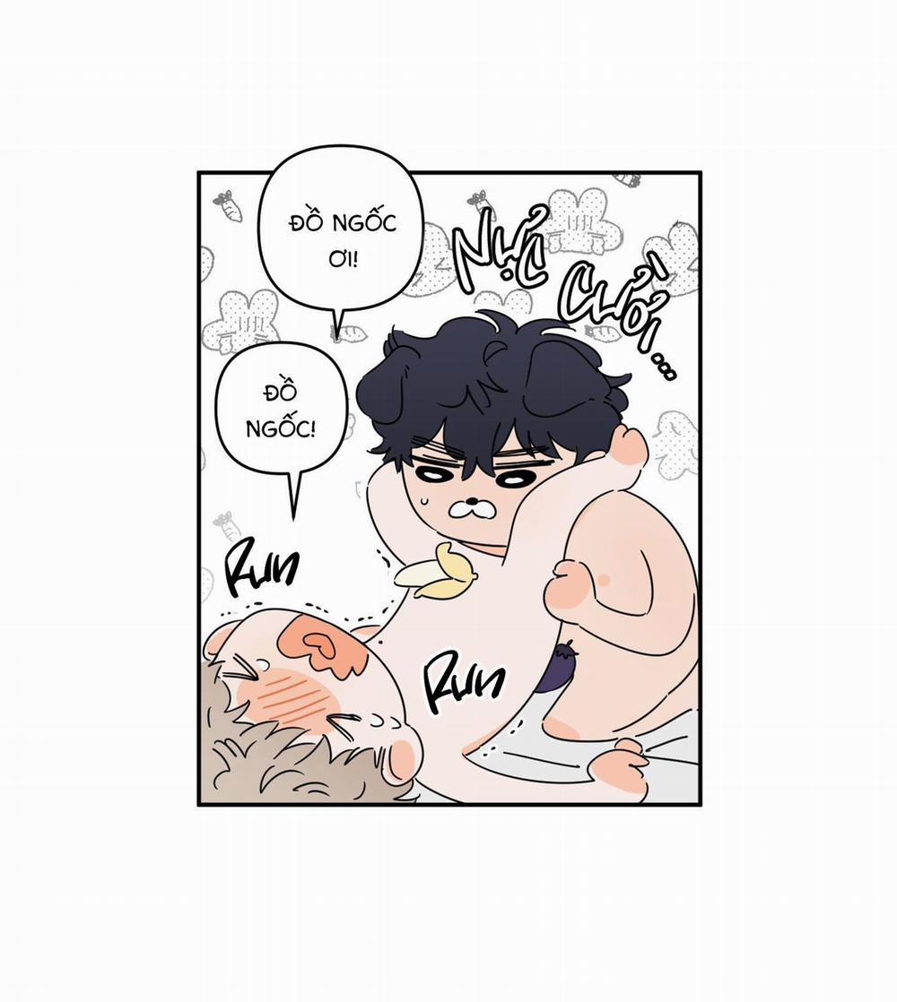 Giấu cho kỹ; lộ XX bây giờ 5 H+ trang 20