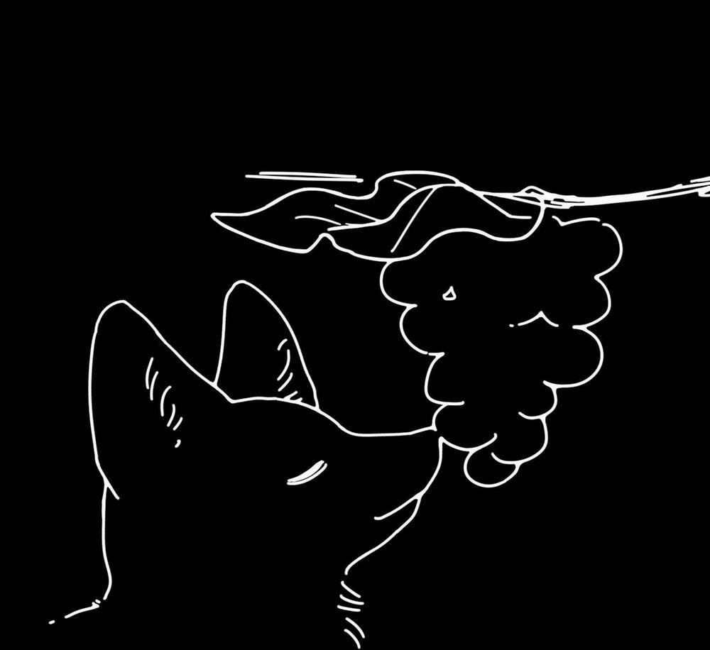 Giấu cho kỹ; lộ XX bây giờ 5 H+ trang 58