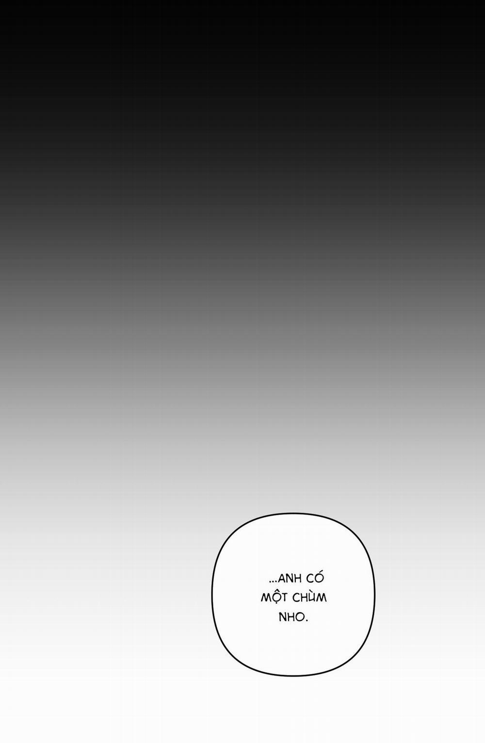 Giấu cho kỹ; lộ XX bây giờ 5 H+ trang 61