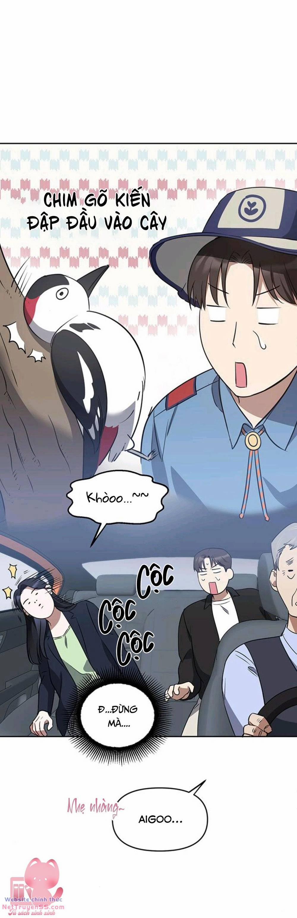 Gieo Nhân Gặt Quả 13 trang 12