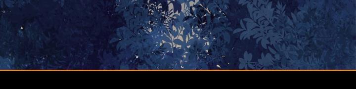 Giết Chết Ác Nữ Phản Diện 61 trang 300