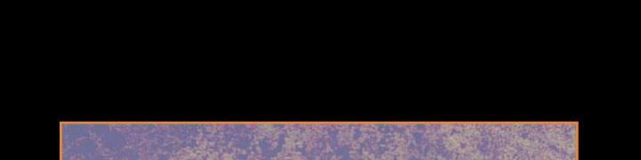 Giết Chết Ác Nữ Phản Diện 61 trang 303