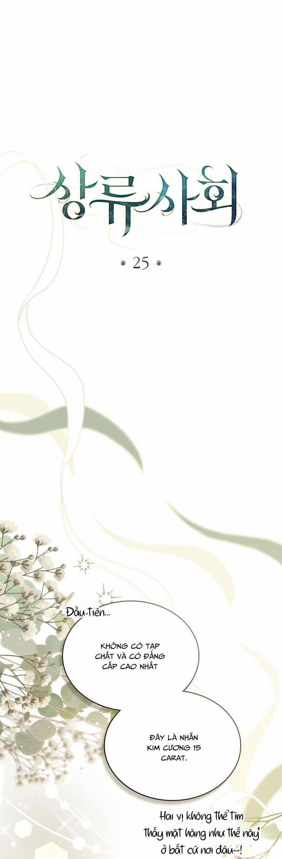 Giới Thượng Lưu 25 trang 1