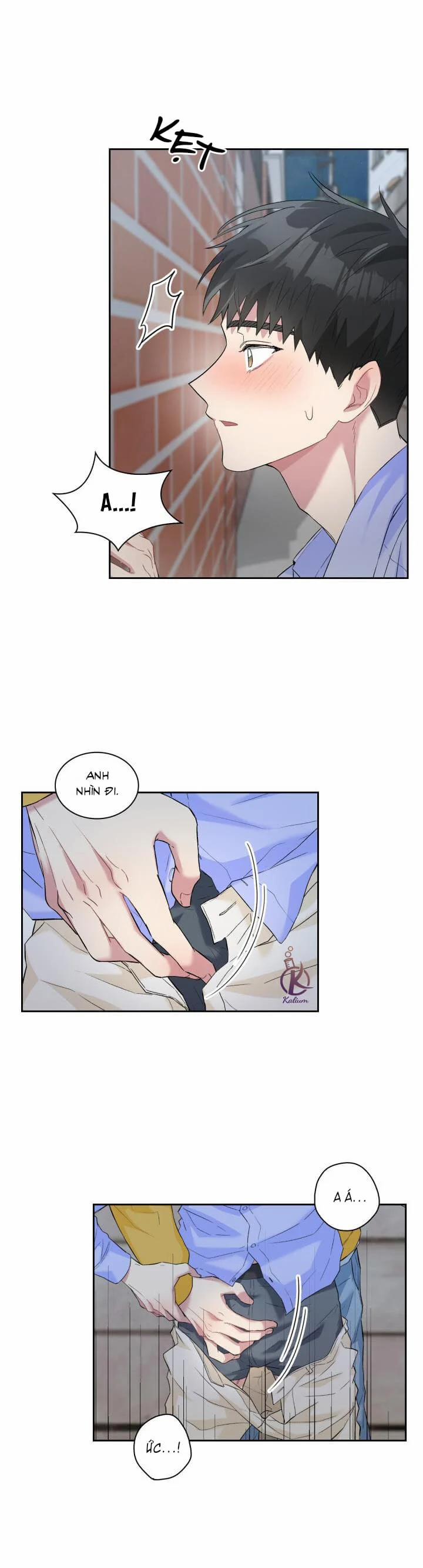 Giọt mưa 22.5 trang 5