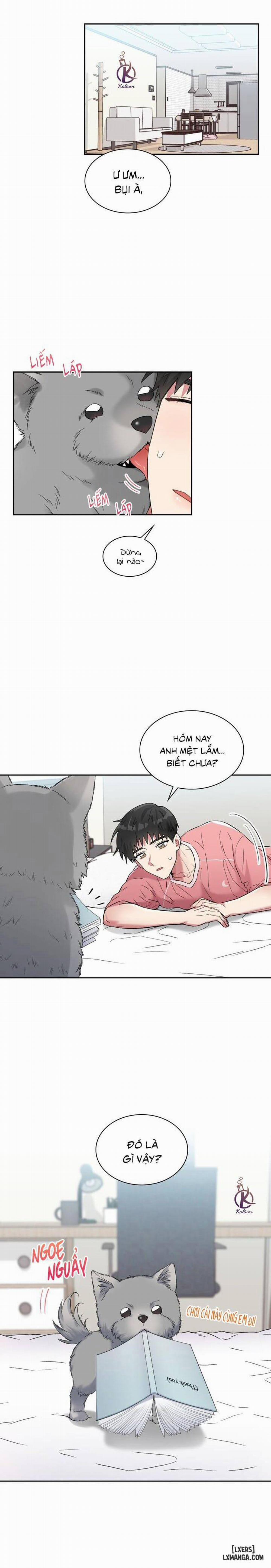 Giọt mưa 41 trang 4