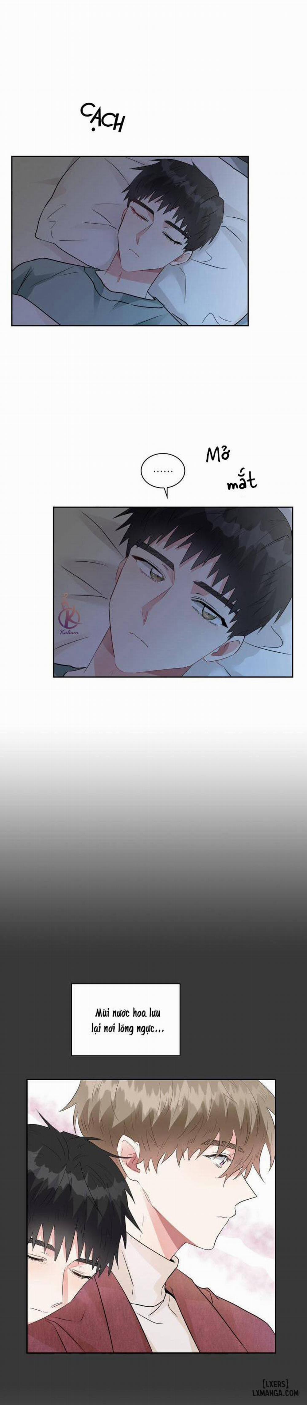 Giọt mưa 8 trang 15