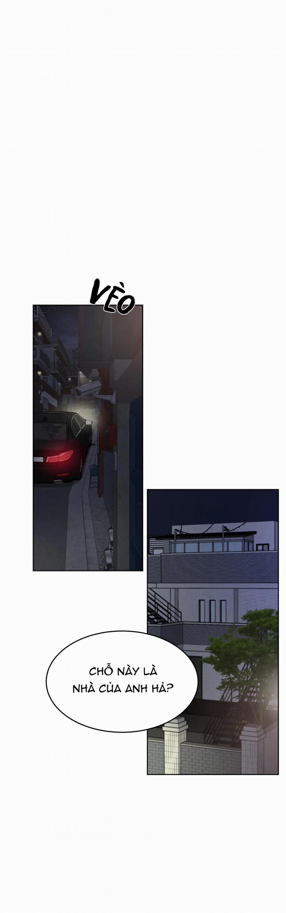 Giữa Tình Cờ Và Định Mệnh 12 trang 0