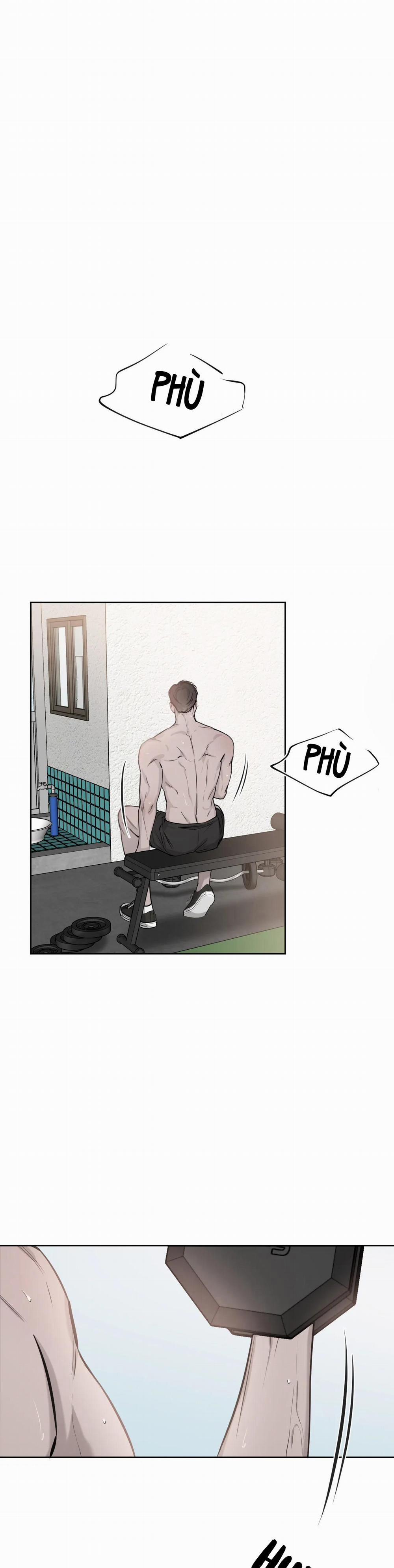 Giữa Tình Cờ Và Định Mệnh 15 trang 0