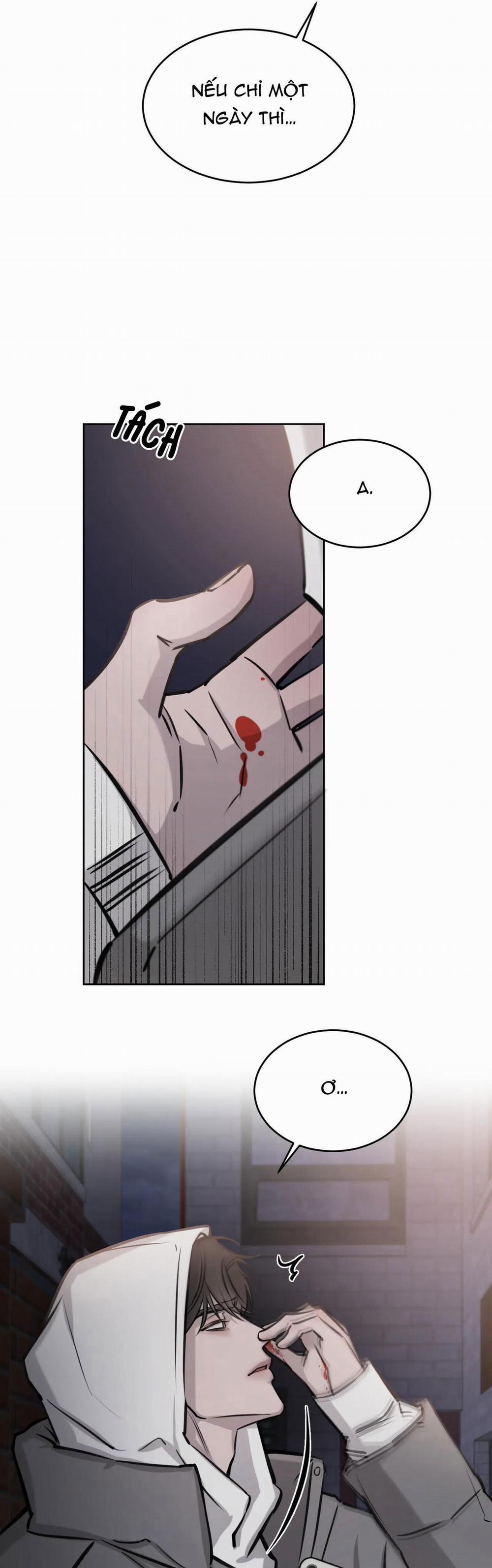 Giữa Tình Cờ Và Định Mệnh 17 trang 16