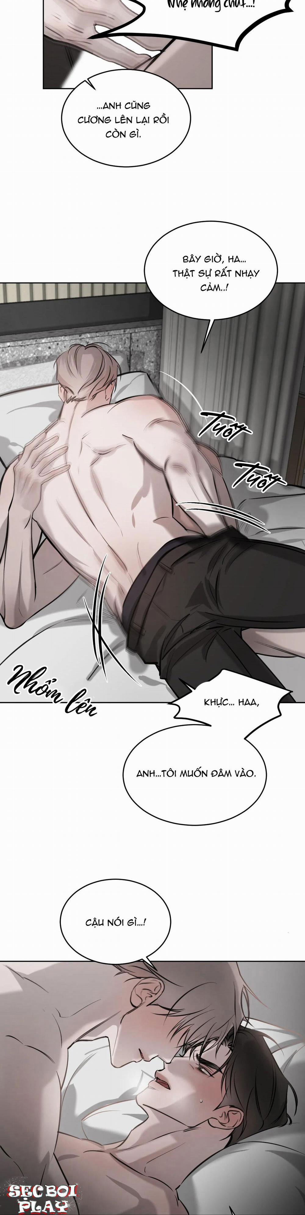 Giữa Tình Cờ Và Định Mệnh 22 trang 12