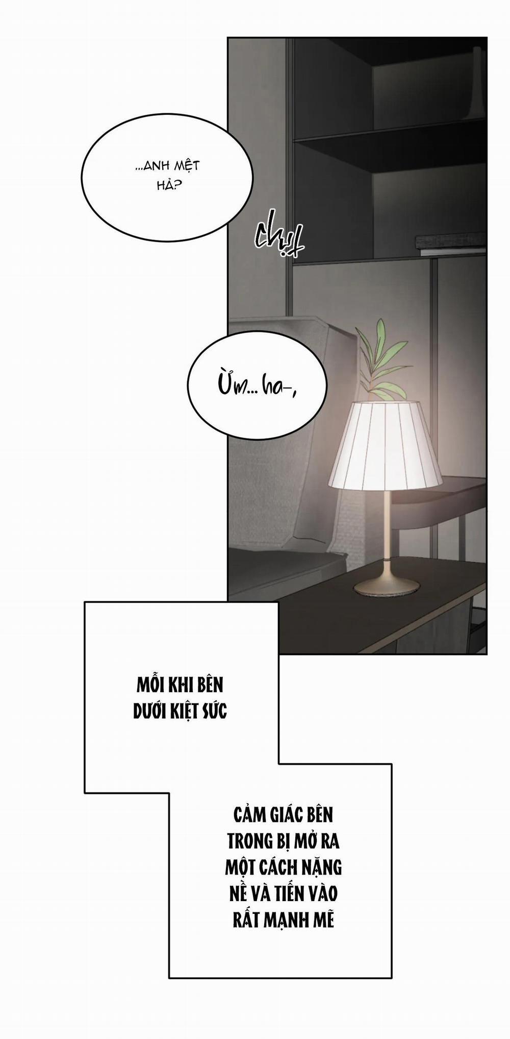 Giữa Tình Cờ Và Định Mệnh 29 trang 2