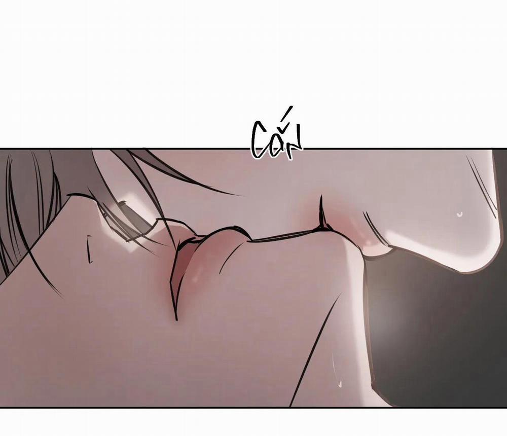 Giữa Tình Cờ Và Định Mệnh 29 trang 45