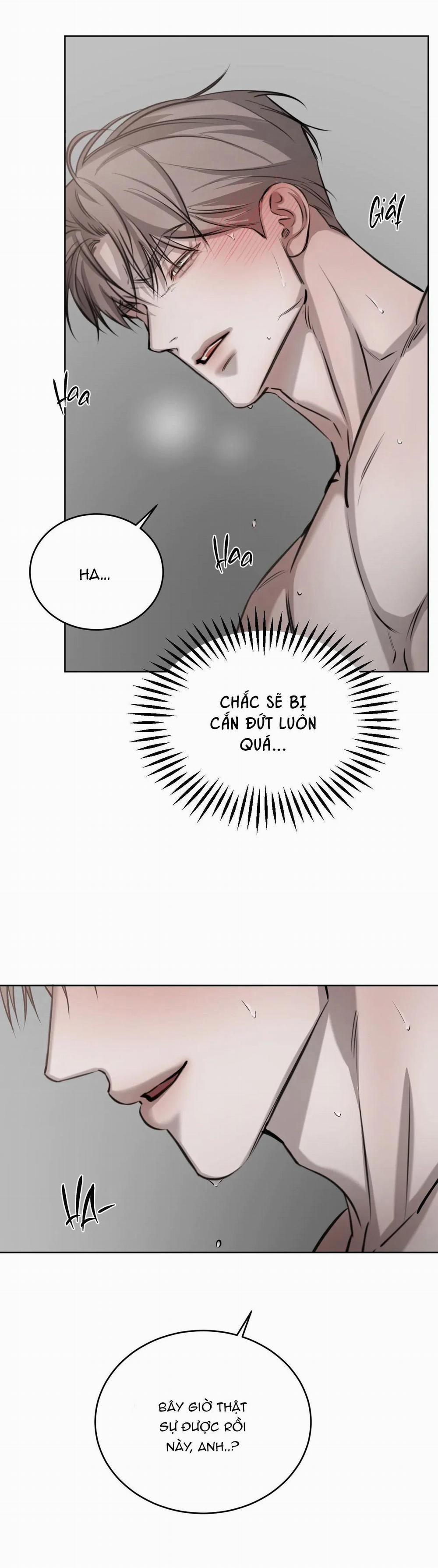 Giữa Tình Cờ Và Định Mệnh 39 trang 41