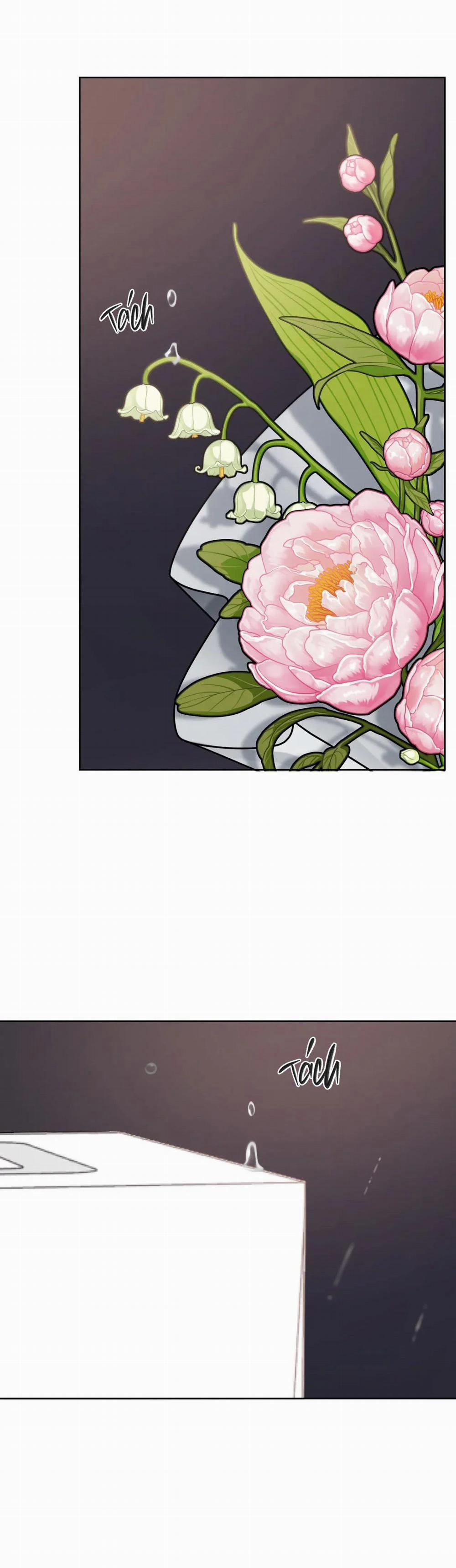 Giữa Tình Cờ Và Định Mệnh 43 trang 38