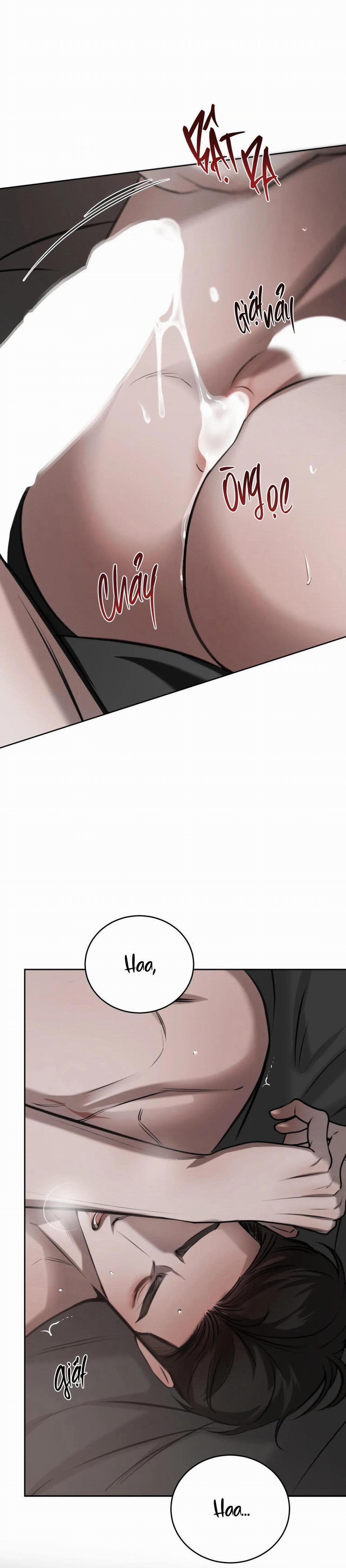 Giữa Tình Cờ Và Định Mệnh 49 trang 2