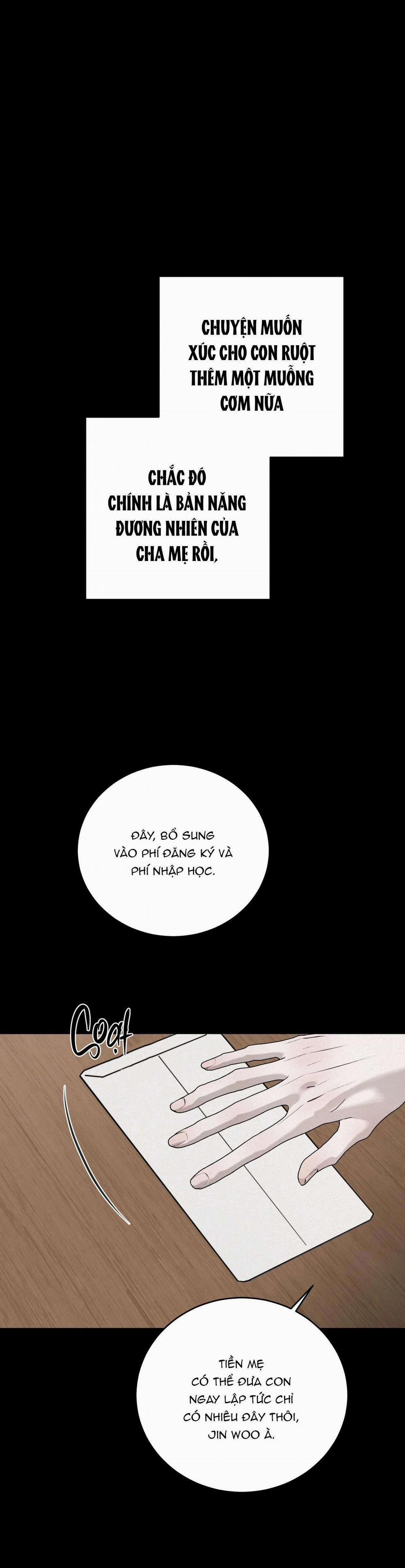 Giữa Tình Cờ Và Định Mệnh 50 trang 1