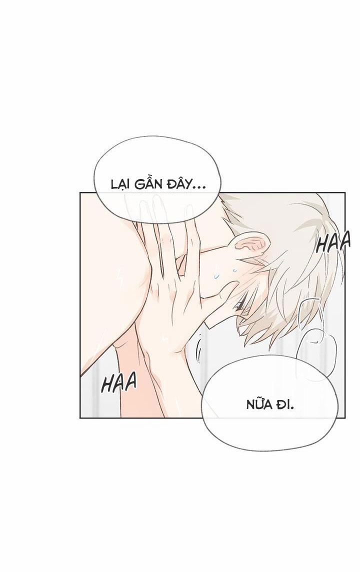 Giữa Yêu Và Ghét 17 trang 39