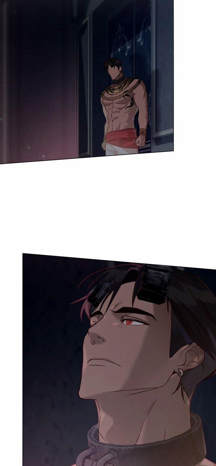 Gọi Ta Là Chủ Nhân 12.2 trang 5