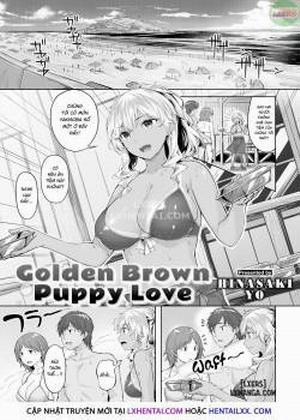 Đọc truyện tranh Golden Brown Puppy Love