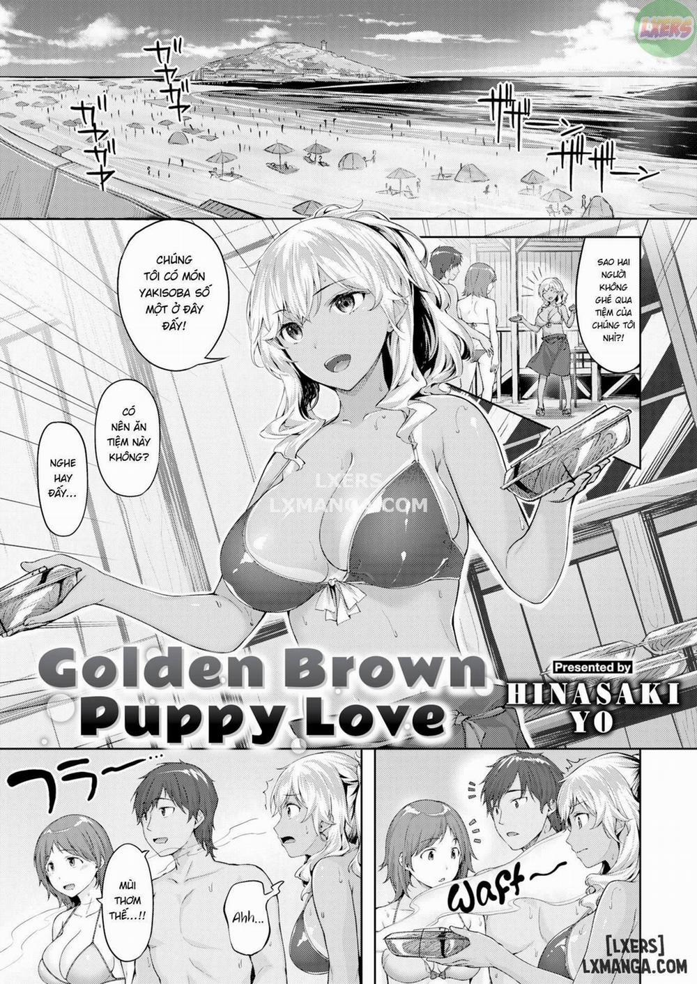 Golden Brown Puppy Love Oneshot trang 0