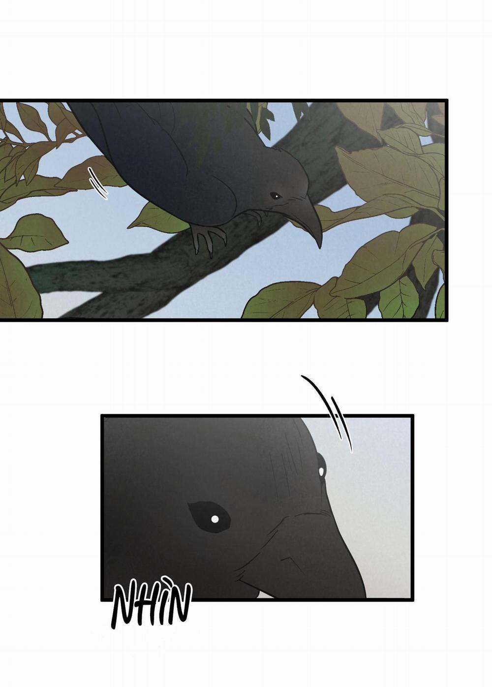 Golden Pair 1 trang 10