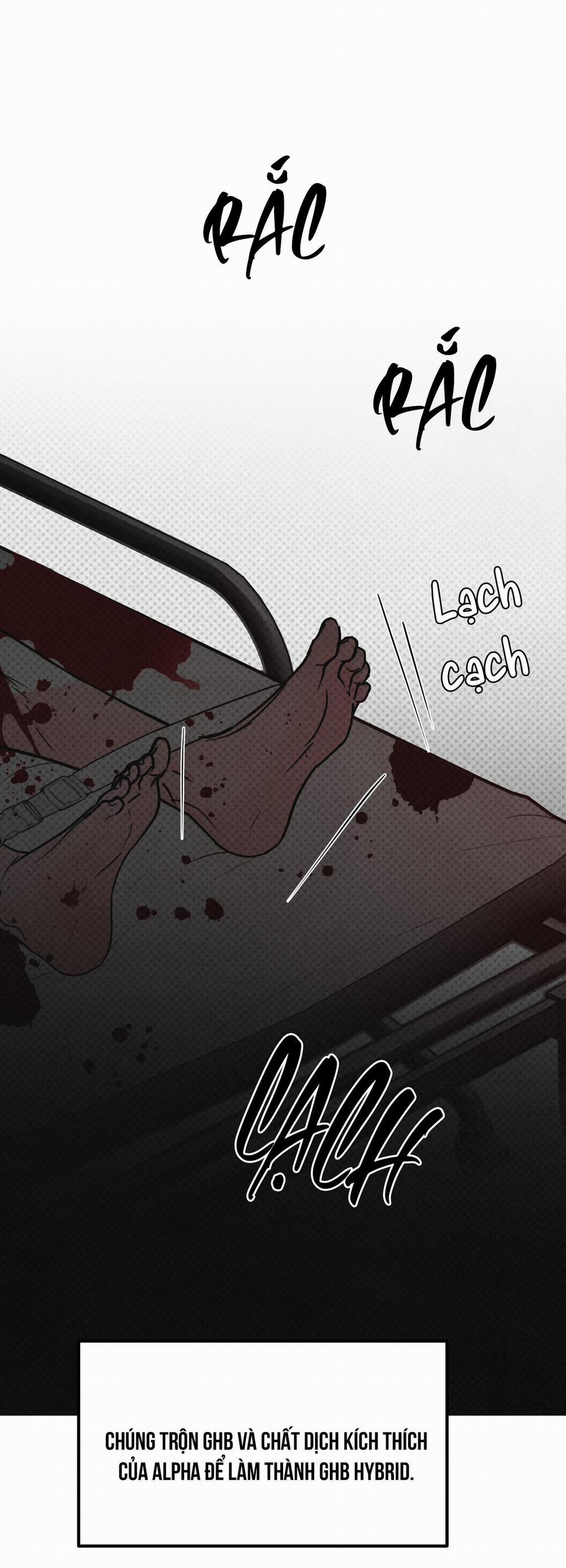 Golden Pair 1 trang 36