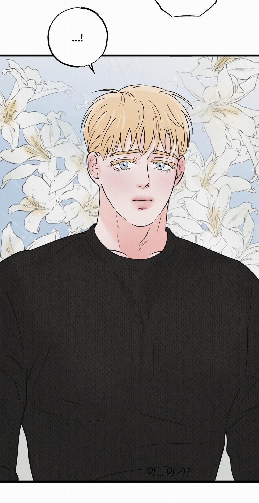 Golden Pair 1 trang 48