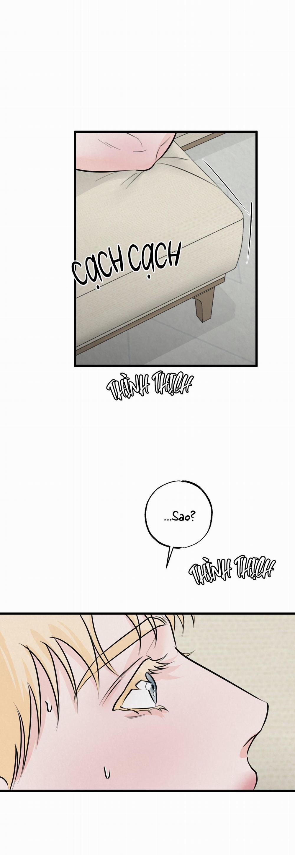 Golden Pair 10 trang 0