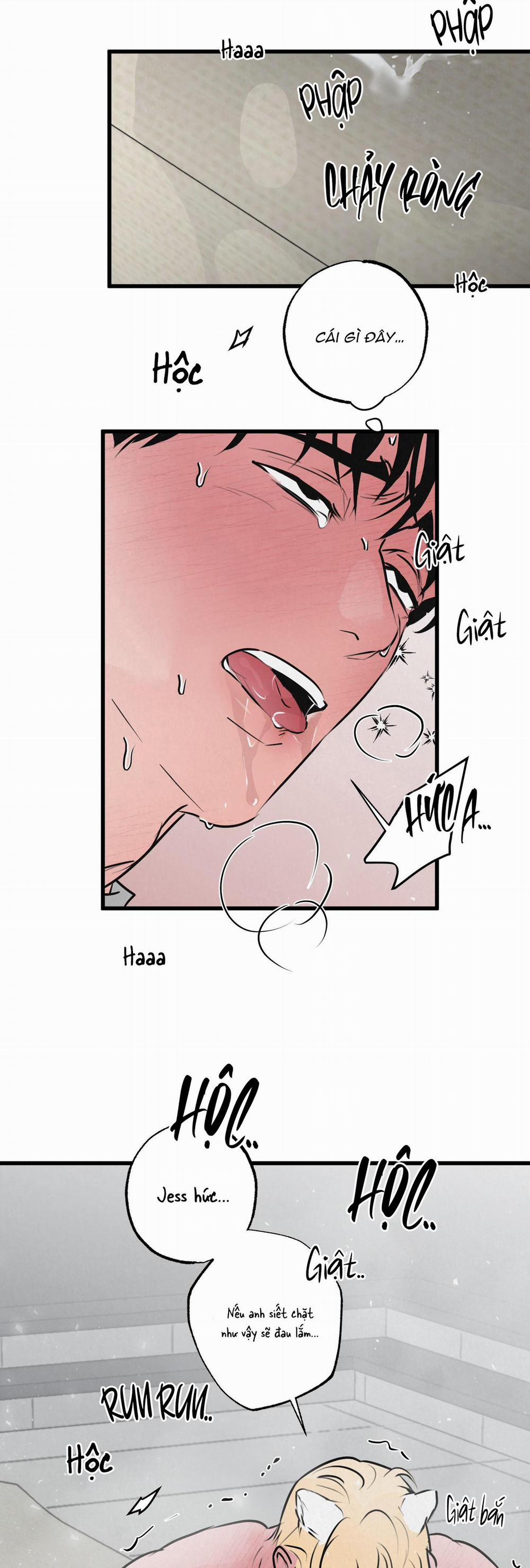 Golden Pair 10 trang 24