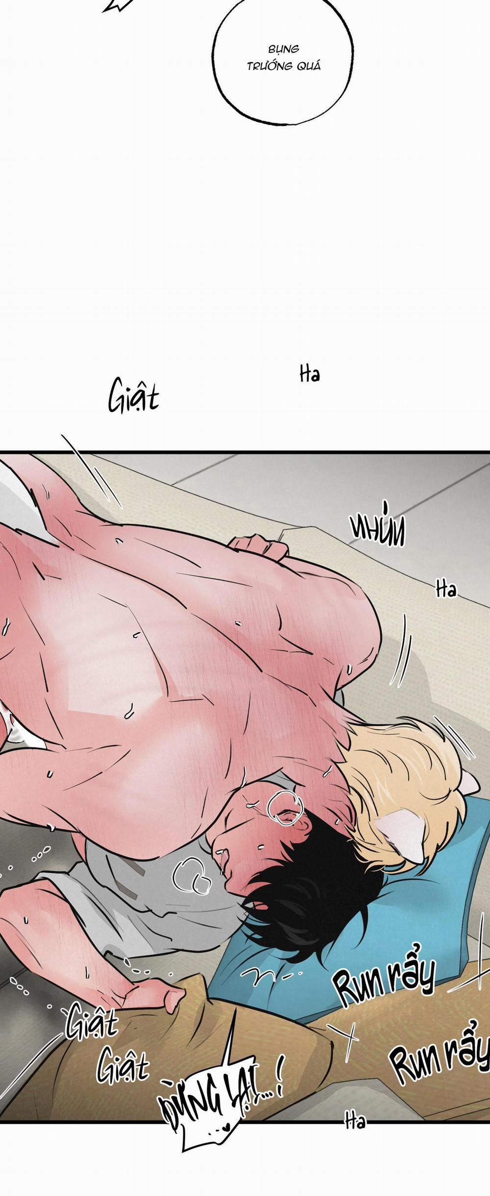 Golden Pair 10 trang 27