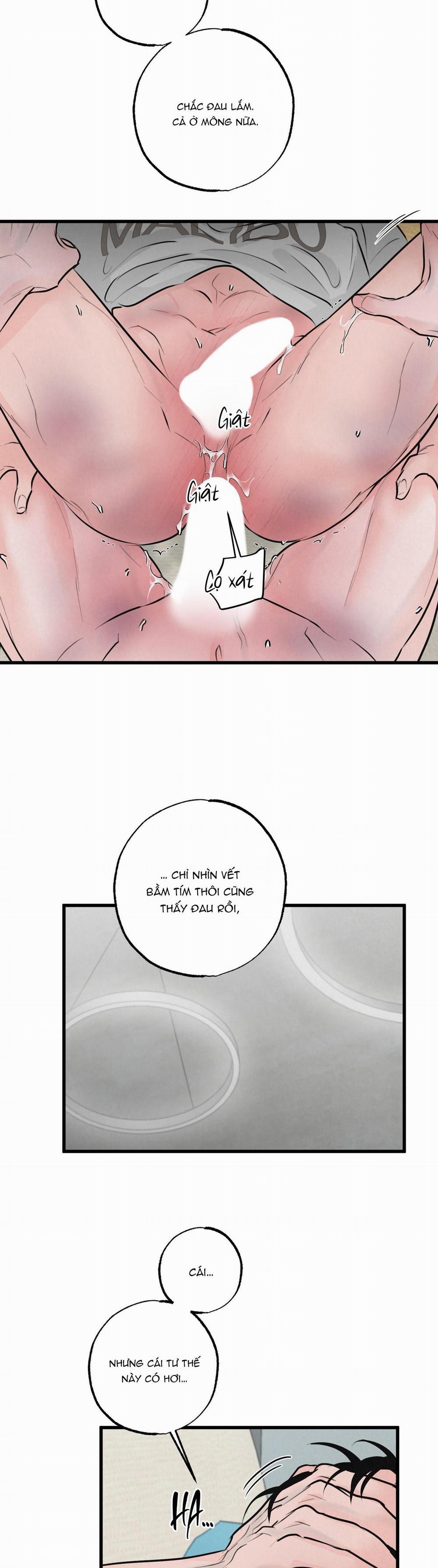 Golden Pair 10 trang 5