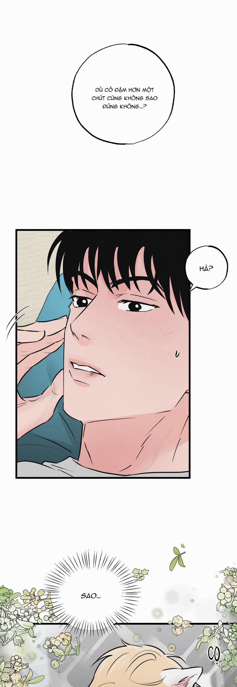 Golden Pair 10 trang 7