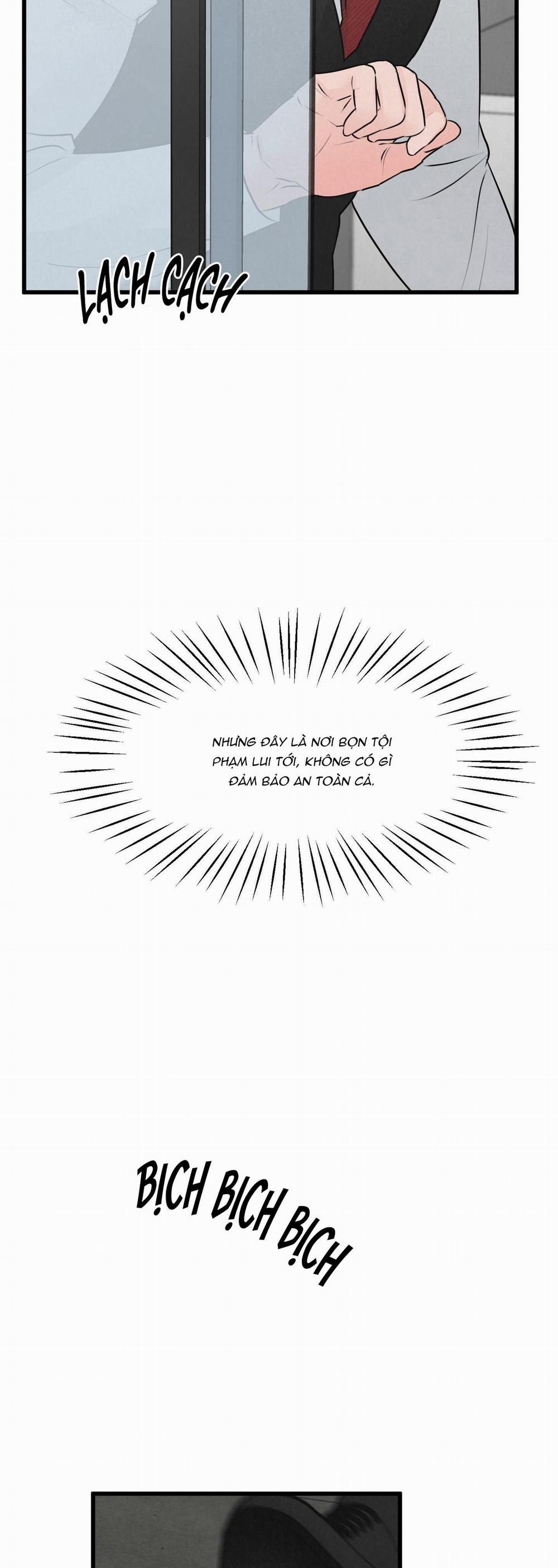 Golden Pair 12 trang 2