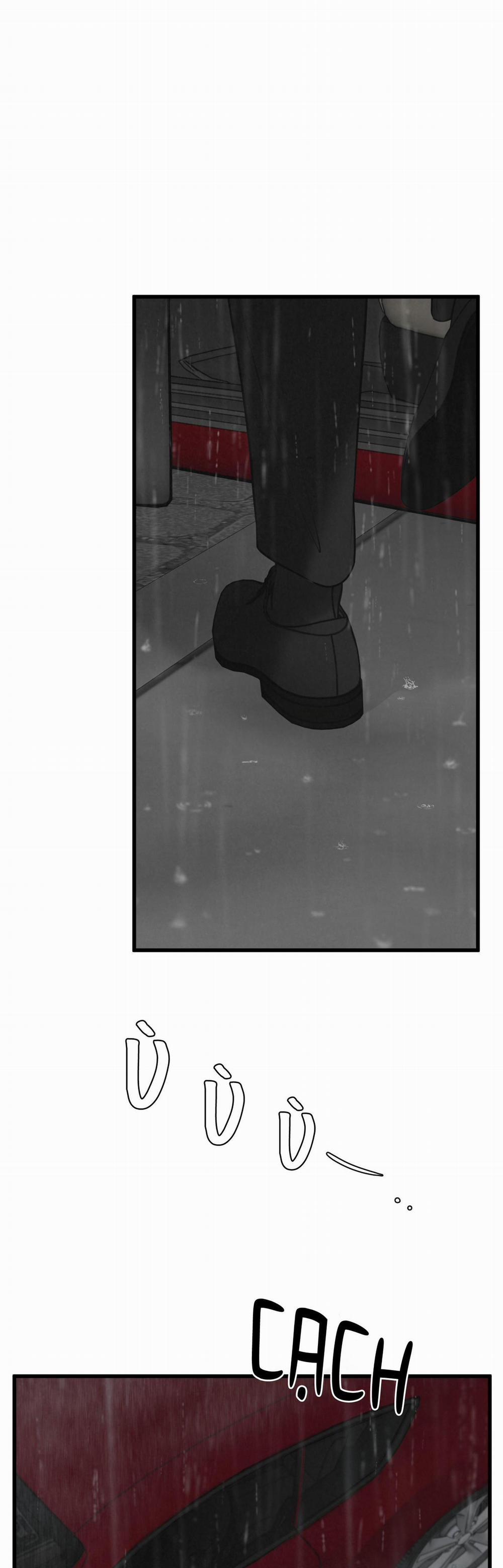 Golden Pair 13 trang 1