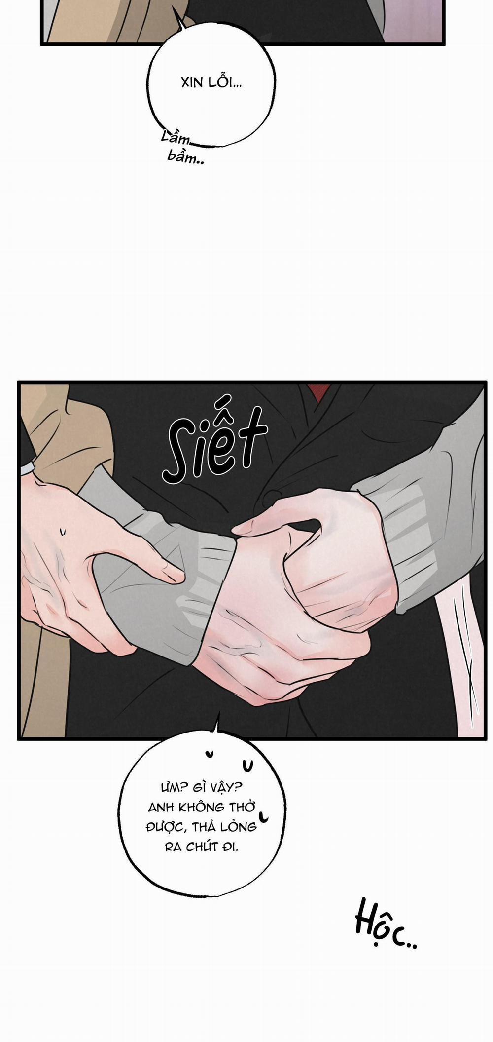 Golden Pair 13 trang 24