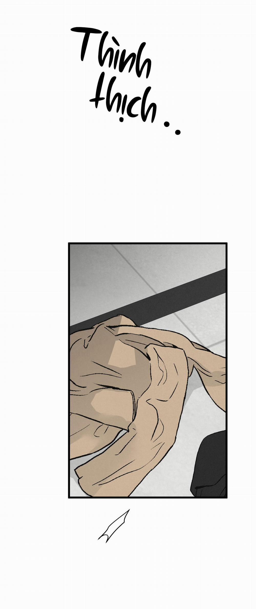 Golden Pair 14 trang 1