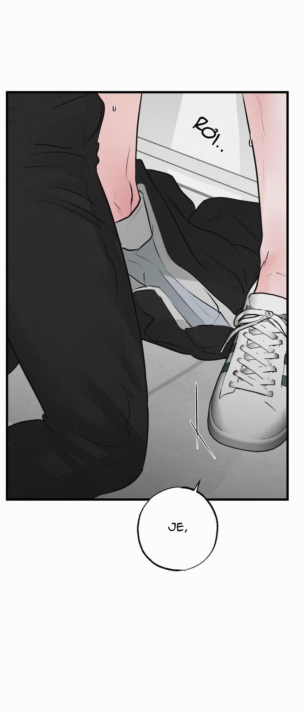 Golden Pair 14 trang 2